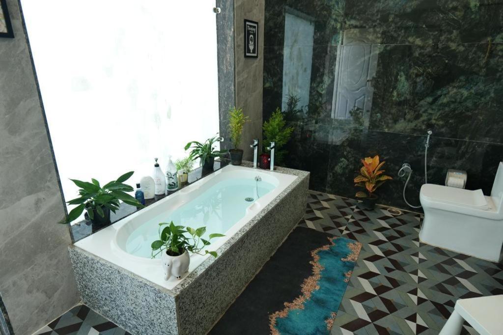 Jewel Of Jungle Apartment Tala  ภายนอก รูปภาพ