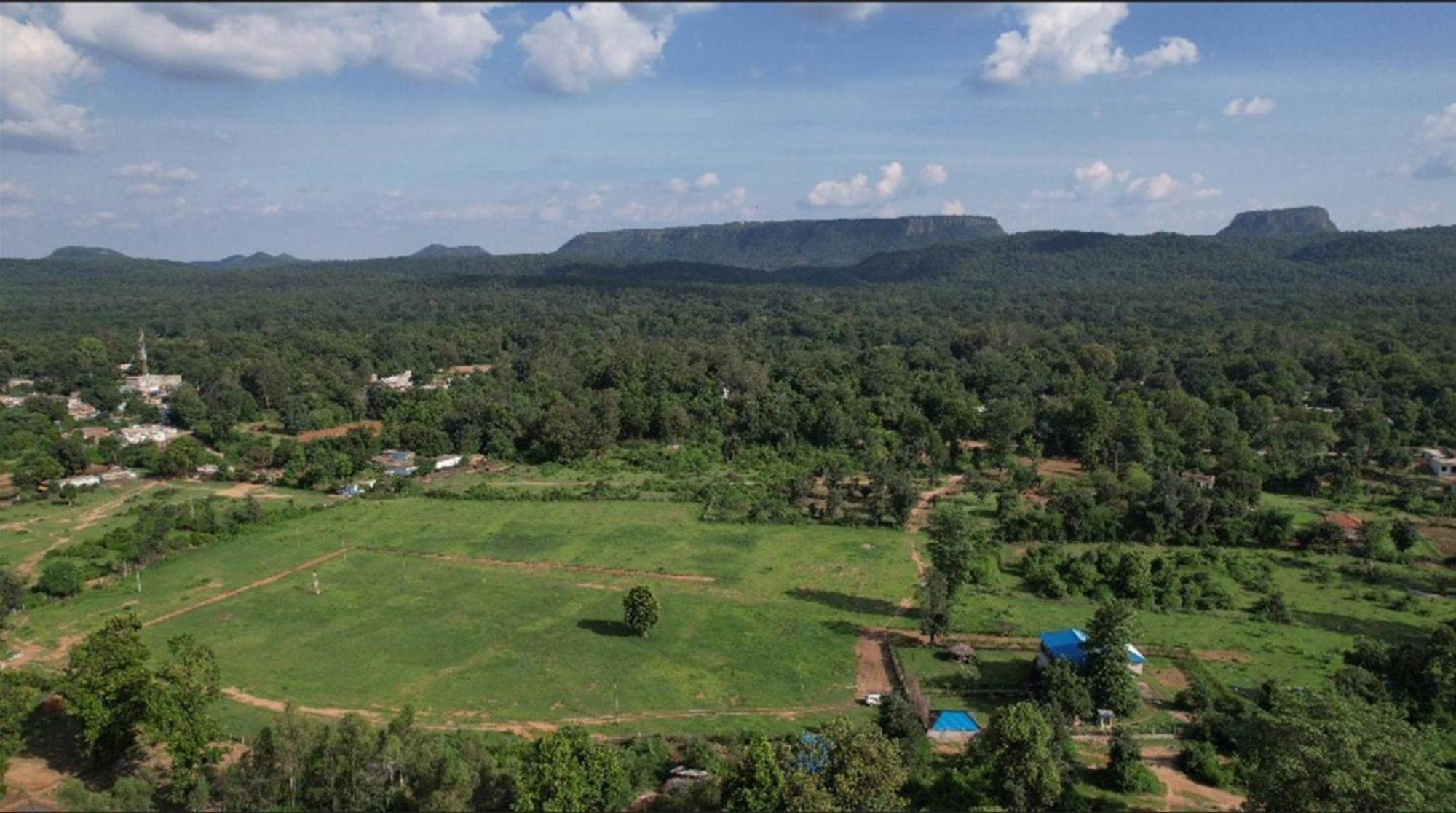 Jewel Of Jungle Apartment Tala  ภายนอก รูปภาพ